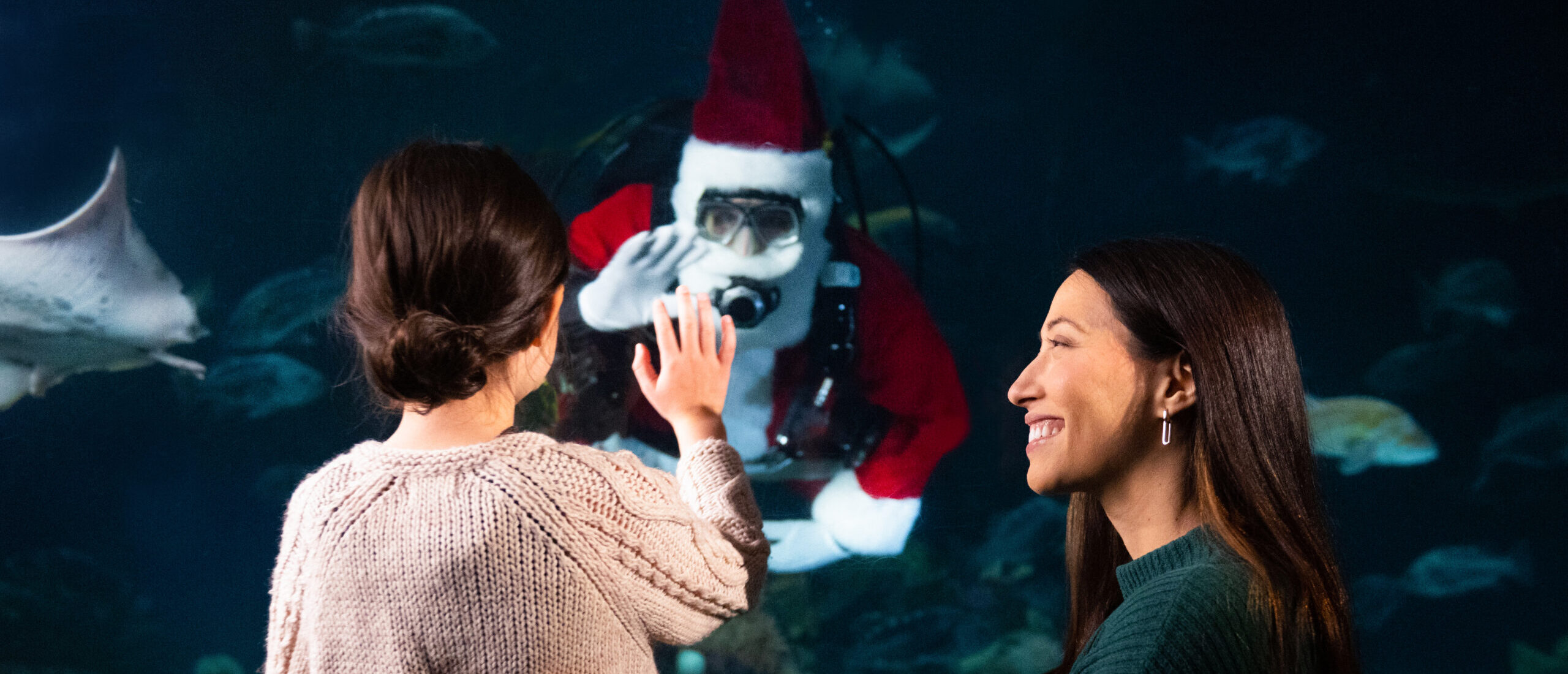 Holiday Splash at Vancouver Aquarium