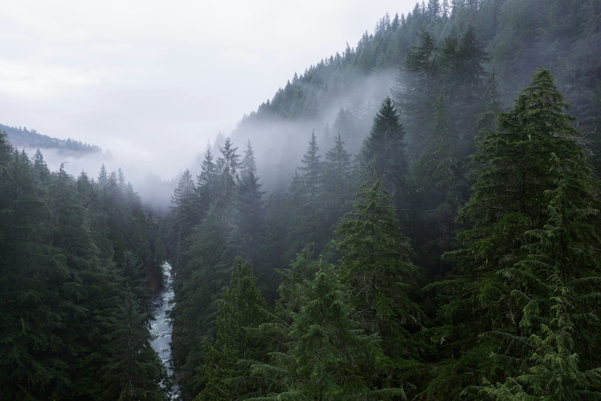 Pacific Northwest Climate Week